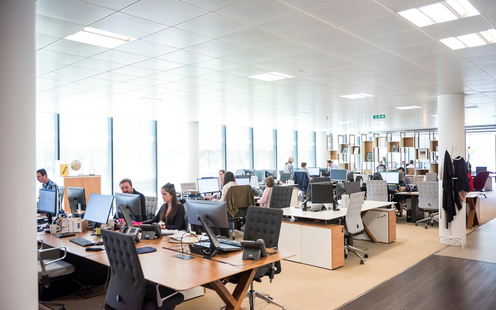 people working at desks in open office