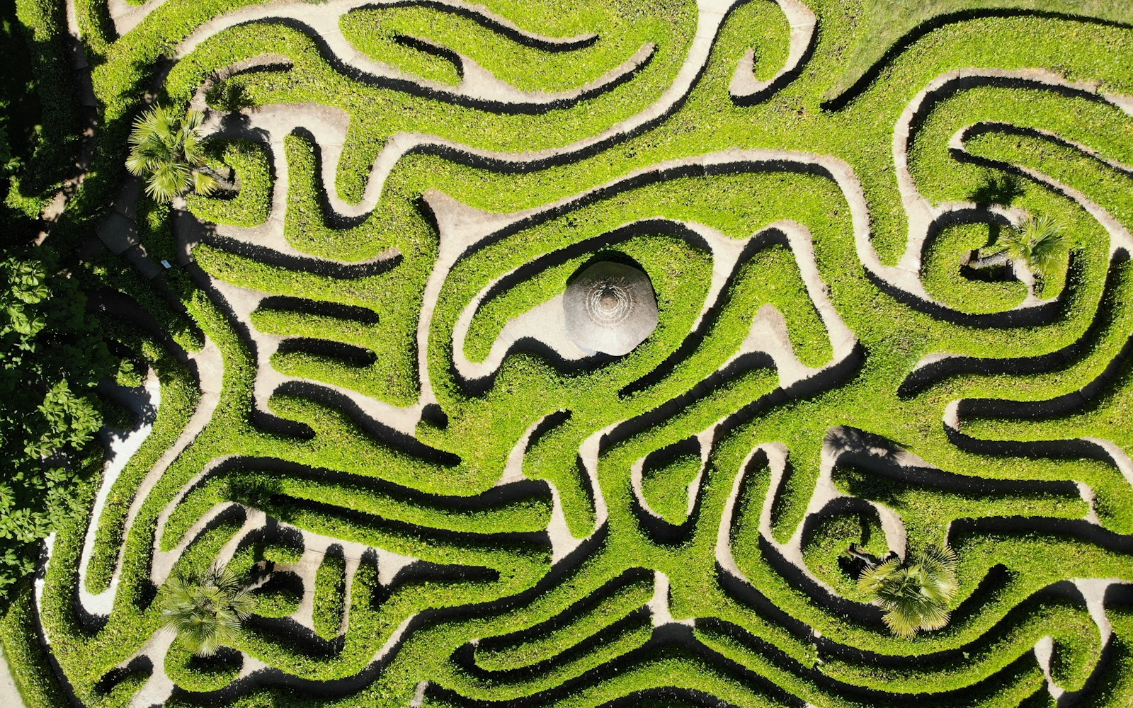 green and white maze illustration