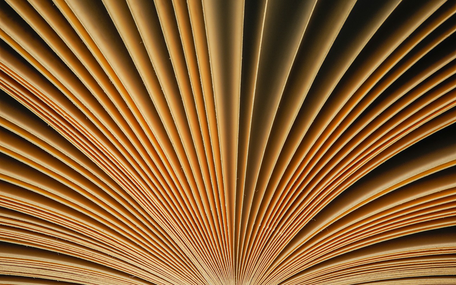 A close up of an open book with a black background