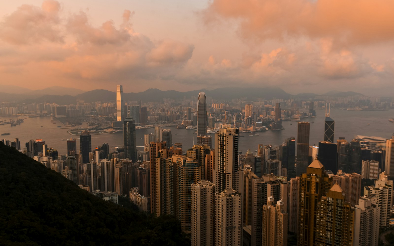 aerial view of city buildings during daytime