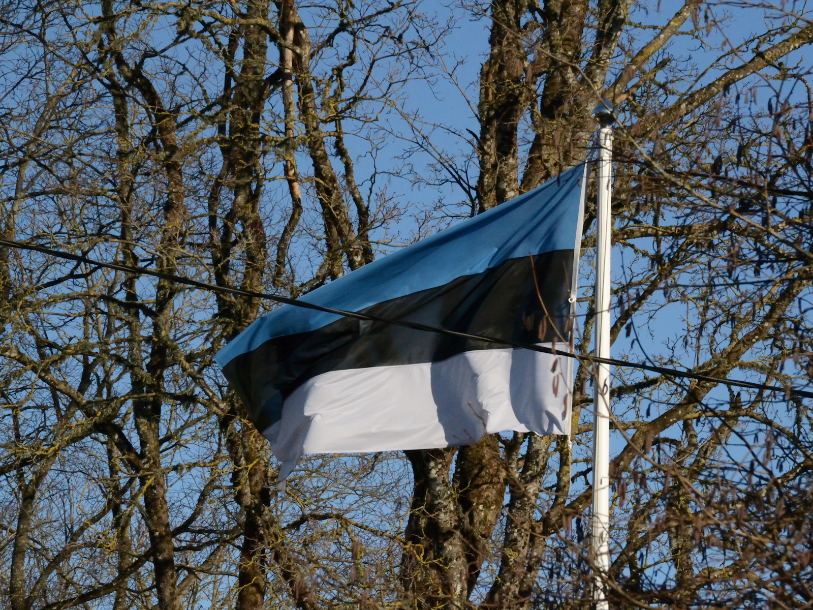 Panorama orașului vechi din Tallinn la amurg, cu turle de biserici